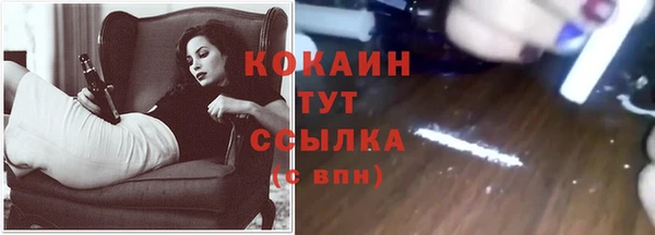 тгк Белая Холуница