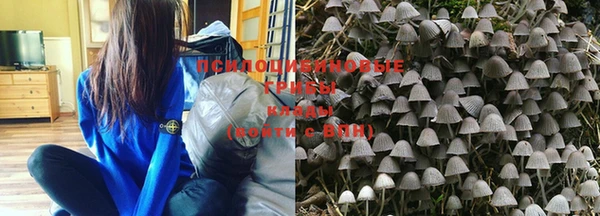 гашишное масло Новокубанск
