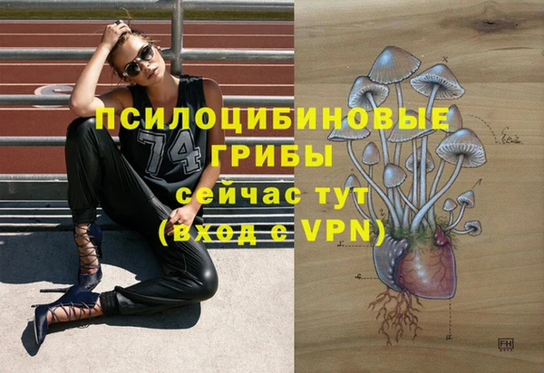 бошки Новозыбков