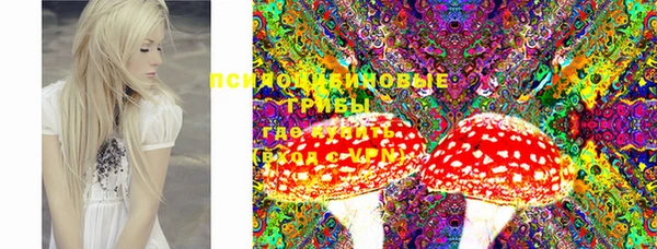 бошки Нефтегорск