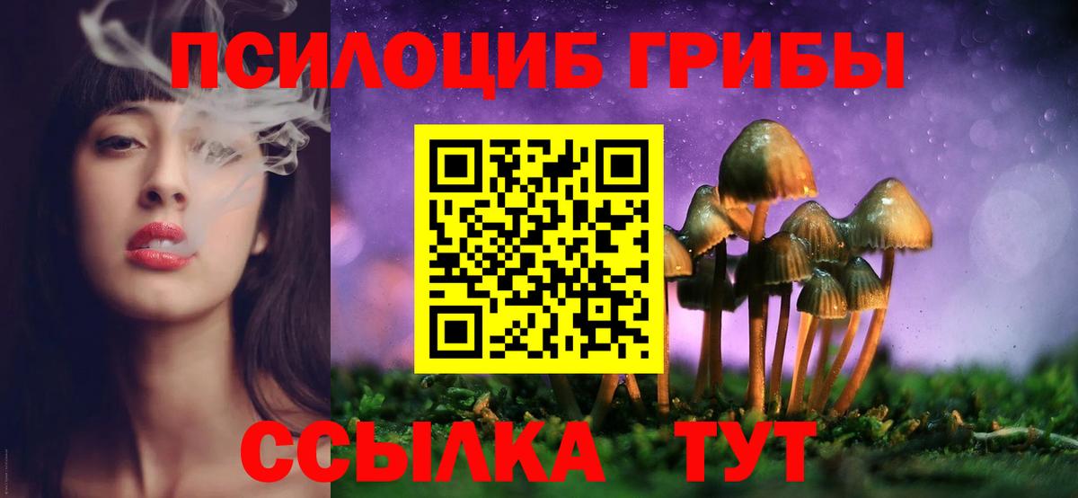 Псилоцибиновые грибы мухоморы  Вход с VPN  где продают наркотики  Лабинск 