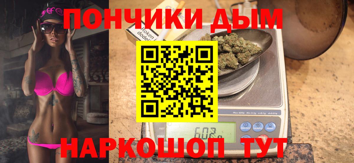 Каннабис сатива Лабинск